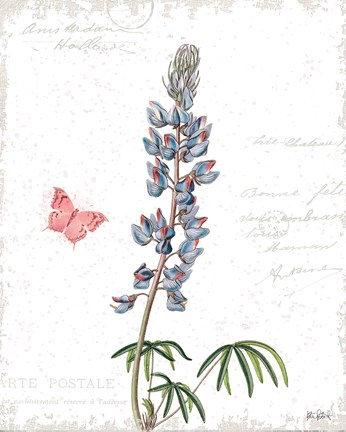 Framed Spring Fields IV Print