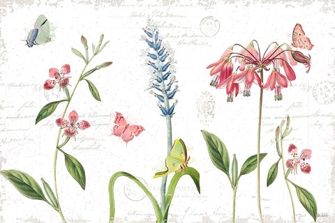 Framed Spring Fields I Print