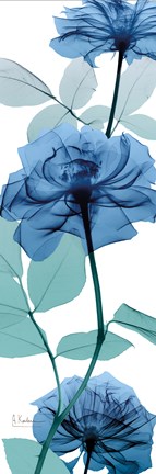 Framed Swift Dreams 2 Print