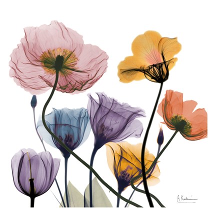 Framed Blissful Garden 2 Print