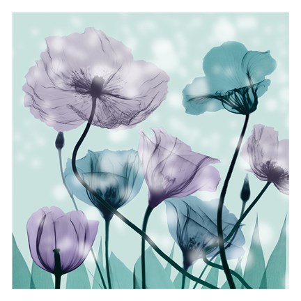 Framed Midnight Flowerscape Print