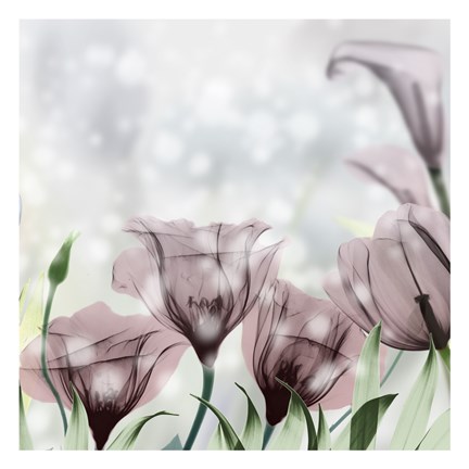 Framed Garden Of Eden Print