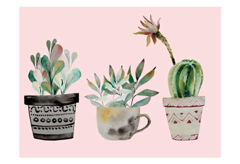 Framed Succulant Trio Print