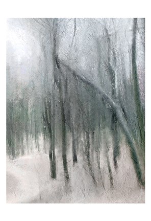 Framed Shrouded Forest 3 Print