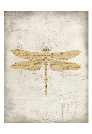 Framed Dragonfly Letters 3 Print