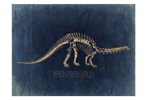 Framed Dino Bones 2 Print