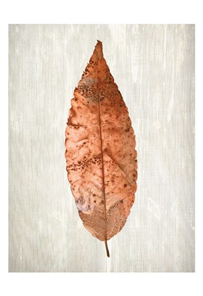 Framed Copper Leaves 1 Print