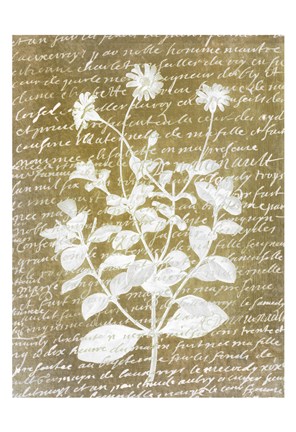 Framed Notes on Floral 1 Print