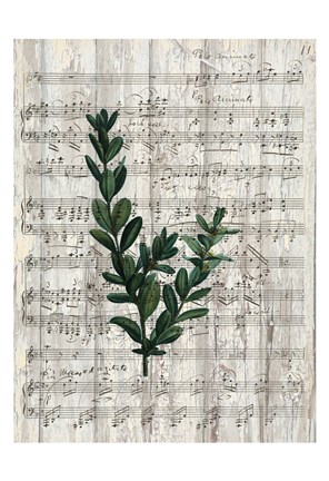 Framed Musical Botanical 1 Print