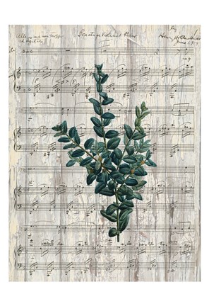 Framed Musical Botanical 3 Print