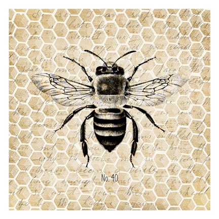 Framed Honeycomb No 40 Print