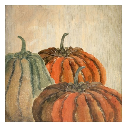 Framed Fall Pumpkins Print