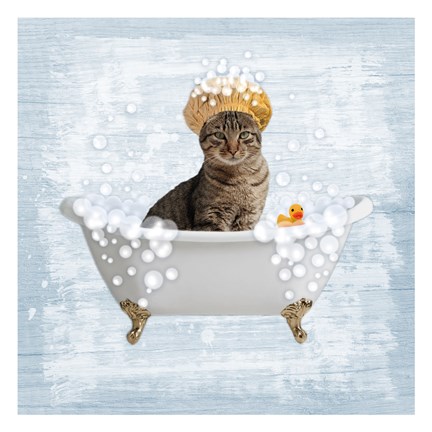 Framed Fun Kitty Bath 2 Print