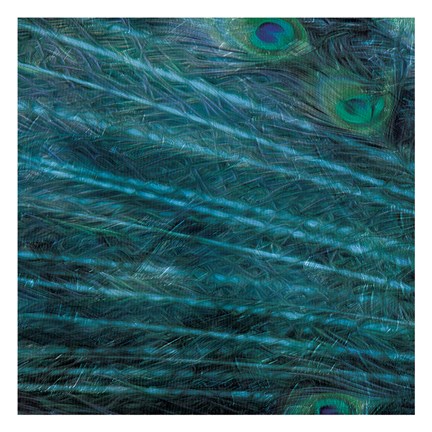 Framed Peacock Galaxy One Print