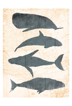 Framed Whale Map Print