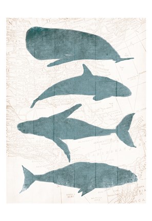 Framed Sea Life Print