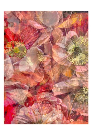 Framed Floral Maze Print