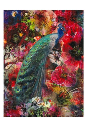 Framed Tropical Peacock Sea Print