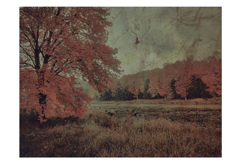 Framed Fall In The Mist Print