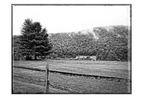 Framed Morning Mountain Fog Print