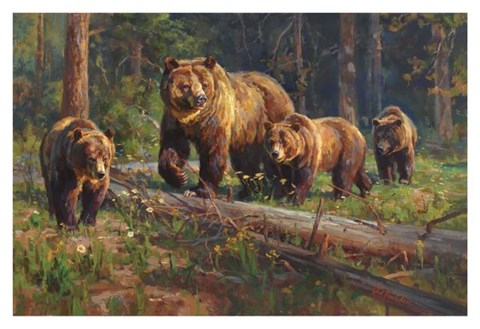 Framed Wilderness Matriarch Print