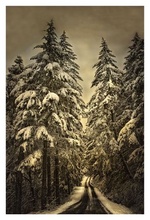 Framed Wagner Creek Snow Print