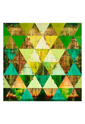 Framed Artemesia Absinthium Print