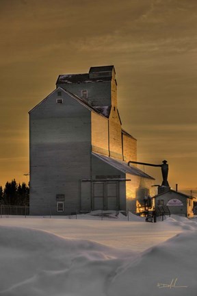 Framed Alberta Grain Print