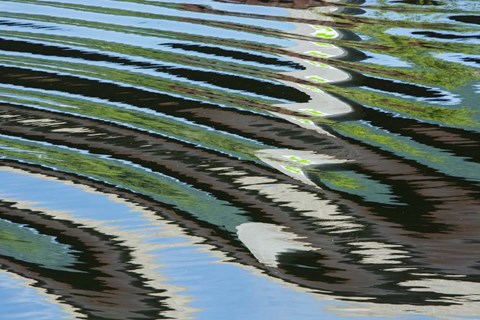 Framed Green Trees Reflected in River with Ripples on the Water Print