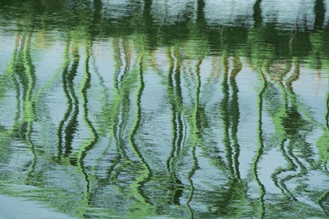 Framed Green Bridge Reflection in Water Print