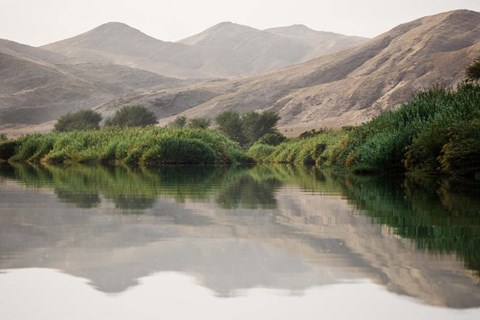 Framed Greenery Along the Banks of the Kunene River, Namibia Print