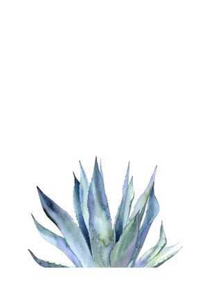 Framed Agave II Print