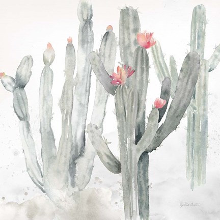 Framed Cactus Garden Gray Blush II Print