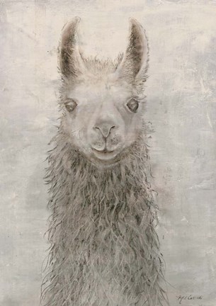 Framed Llama Portrait Print