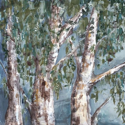 Framed Eucalyptus Trees Print