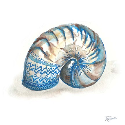 Framed Bohemian Shells IV Print