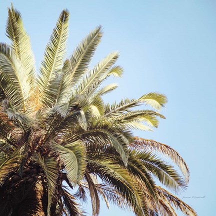 Framed Endless Summer VI Print