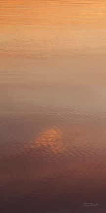 Framed Kalaloch Reflections I Print