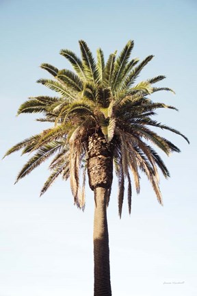 Framed Endless Summer IV Print