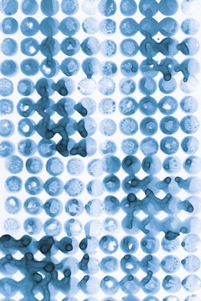 Framed Kanari III Indigo Print