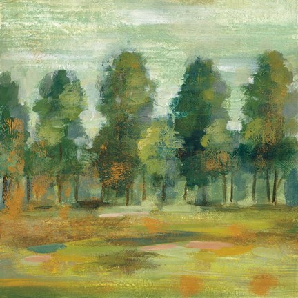 Framed Forest II Print