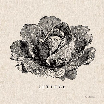 Framed Burlap Vegetable BW Sketch Lettuce Print