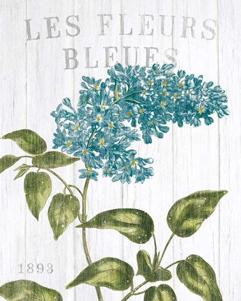 Framed Fleuriste Paris V Print