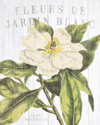 Framed Fleuriste Paris II Print