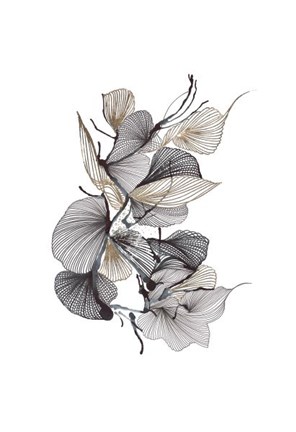 Framed Aliferous Print