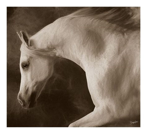 Framed Tag Impression Print