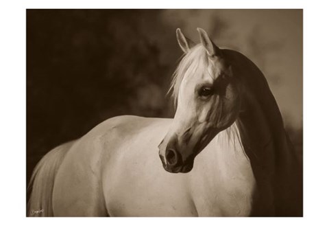 Framed For Love Alone Print