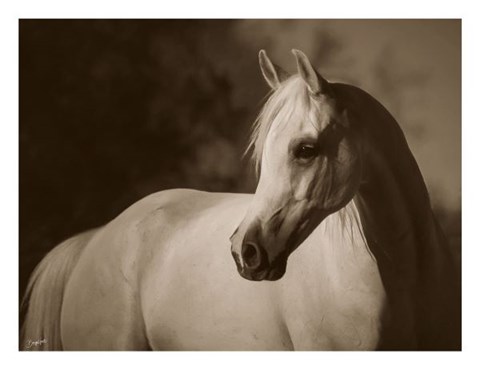 Framed For Love Alone Print