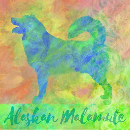 Framed Alaskan Malamute Print