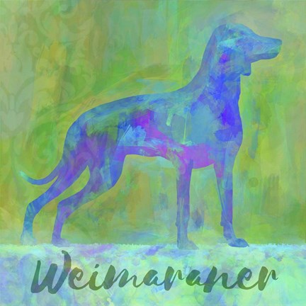 Framed Weimaraner Dog Print